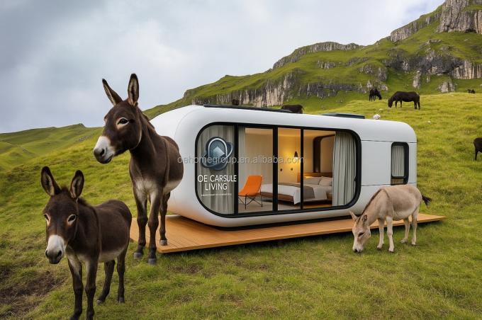 Luxury 20ft Modern Shipping Container House Small Residential Prefab Steel Structure For Hotels Villas Apartment Space 5